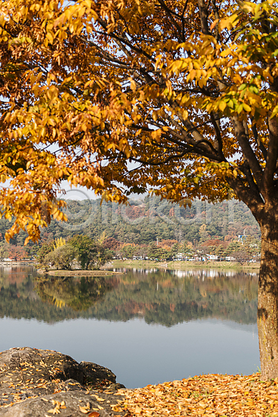 사람없음 JPG 포토 가을(계절) 가을풍경 단풍나무 반사 야외 의림지 제천 주간 호수