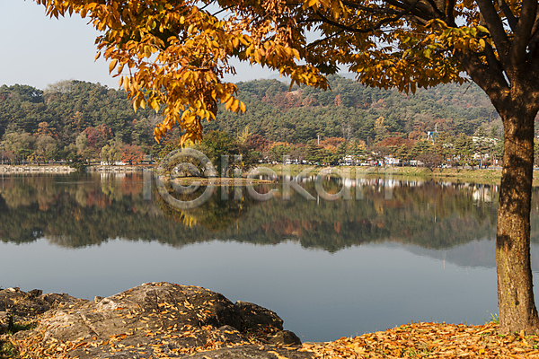 사람없음 JPG 포토 가을(계절) 가을풍경 낙엽 단풍나무 반사 야외 의림지 제천 주간 호수