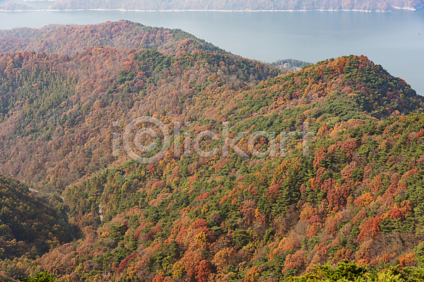 사람없음 JPG 포토 가을(계절) 가을풍경 산 야외 자연 전경 제천 주간 충주호