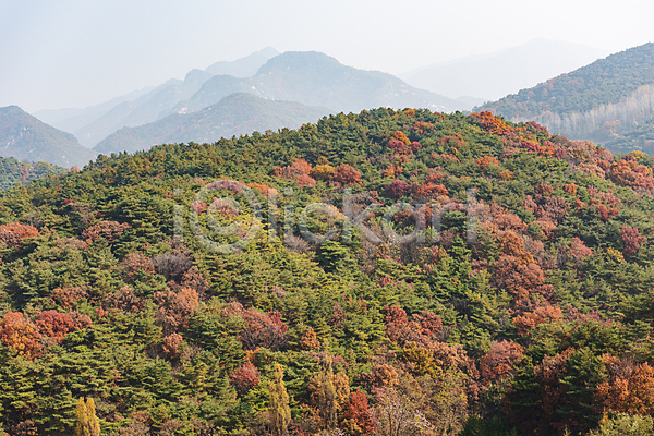 사람없음 JPG 포토 가을(계절) 가을풍경 산 야외 울창 자연 제천 주간 하늘