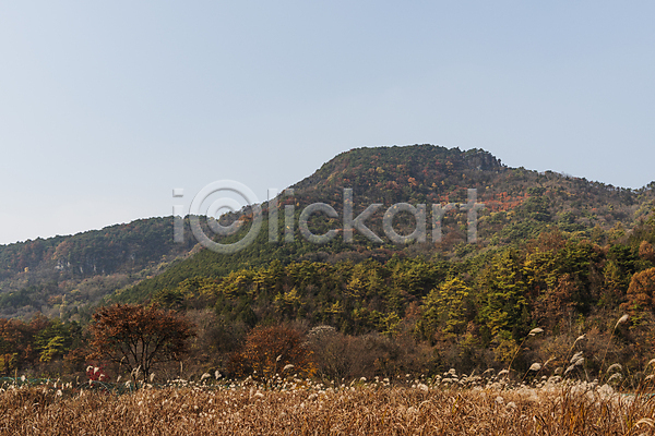 사람없음 JPG 포토 가을(계절) 가을풍경 산 야외 억새 억새밭 옥순봉생태공원 자연 제천 주간 하늘