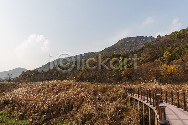 사람없음 JPG 포토 가을(계절) 가을풍경 데크 산 야외 억새 억새밭 옥순봉생태공원 자연 제천 주간 하늘