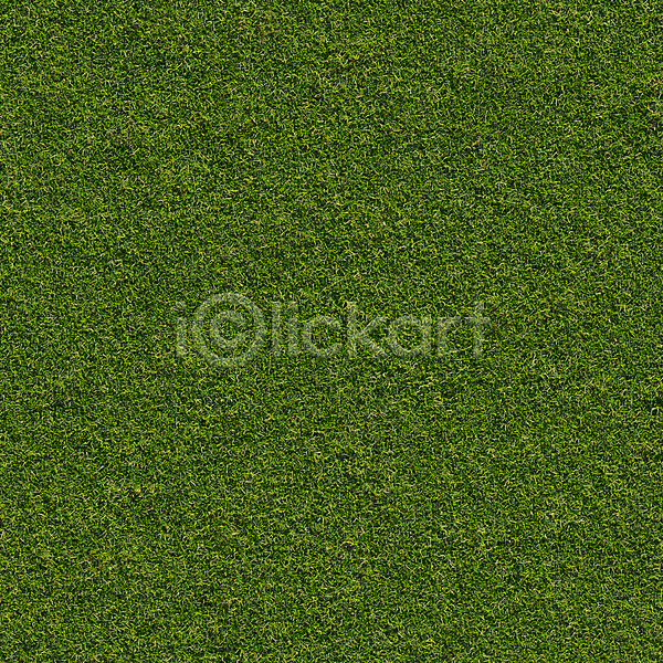 사람없음 3D PSD 디지털합성 편집이미지 자연 잔디 초록색 초원(자연) 편집 편집소스 풀(식물) 풍경(경치)