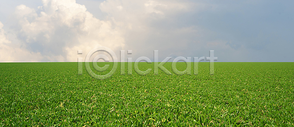 사람없음 3D PSD 디지털합성 편집이미지 구름(자연) 자연 잔디 지평선 초원(자연) 편집 편집소스 풀(식물) 풍경(경치) 하늘