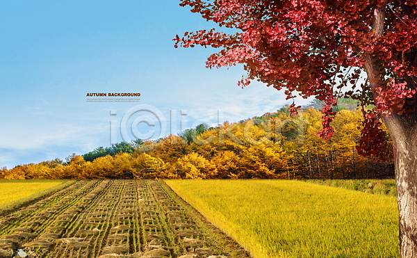 고요 사람없음 PSD 편집이미지 가을(계절) 가을배경 가을풍경 논 단풍 단풍나무 맑음 산 하늘
