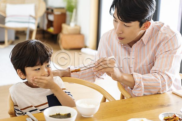 거절 10대 30대 남자 남자만 두명 성인 소년 어린이 한국인 JPG 아웃포커스 앞모습 포토 가족 가족라이프 들기 상반신 식사 식탁 실내 아들 아빠 입막음 젓가락 젓가락질 주기 편식