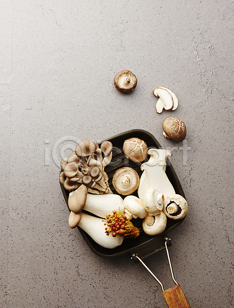 사람없음 JPG 포토 하이앵글 느타리버섯 새송이버섯 식재료 실내 양송이 팽이버섯 표고버섯 회색배경