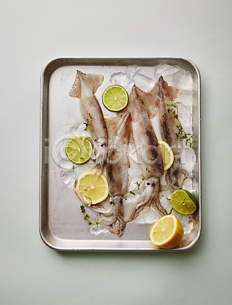 사람없음 JPG 포토 하이앵글 날것 라임 레몬 식재료 실내 얼음 오징어 쟁반 해산물 회색배경