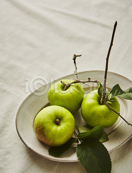 사람없음 JPG 포토 과일 나뭇가지 사과 식재료 실내 청사과 풋사과 흰배경