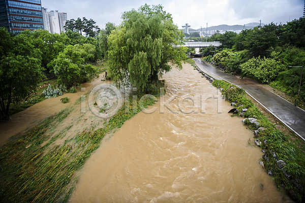 사람없음 JPG 포토 강 공원길 나무 비(날씨) 산책로 성남 야외 자연재해 주간 폭우 홍수 흙탕물