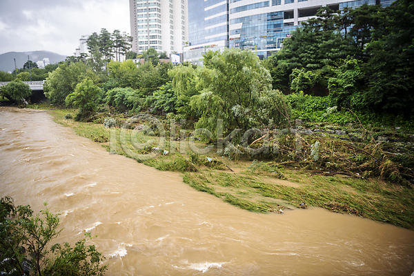사람없음 JPG 포토 강 나무 무너짐 비(날씨) 성남 손상 쓰러짐 야외 자연재해 주간 폭우 홍수 흙탕물