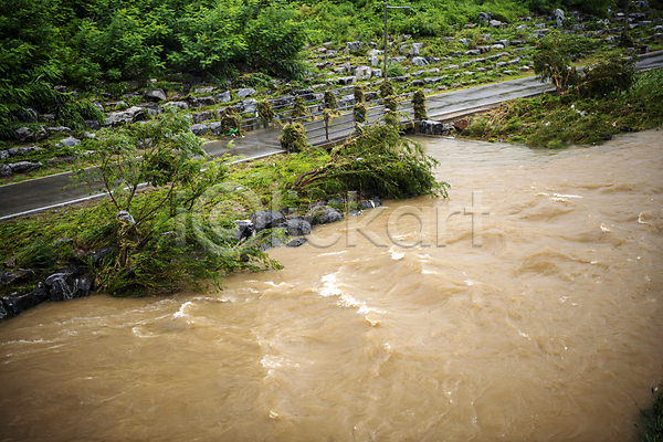 사람없음 JPG 포토 강 공원길 나무 무너짐 비(날씨) 산책로 성남 손상 쓰러짐 야외 자연재해 주간 폭우 홍수 흙탕물