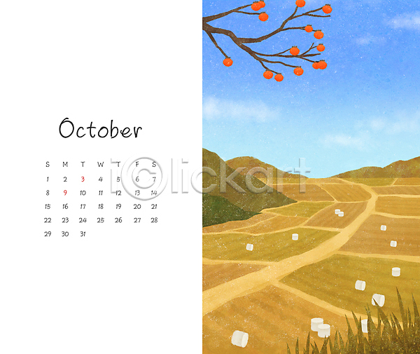 사람없음 PSD 일러스트 10월 가을(계절) 갈색 감 감나무 곤포사일리지 나뭇가지 논 농사 달력 밭 추수 풍경(경치)
