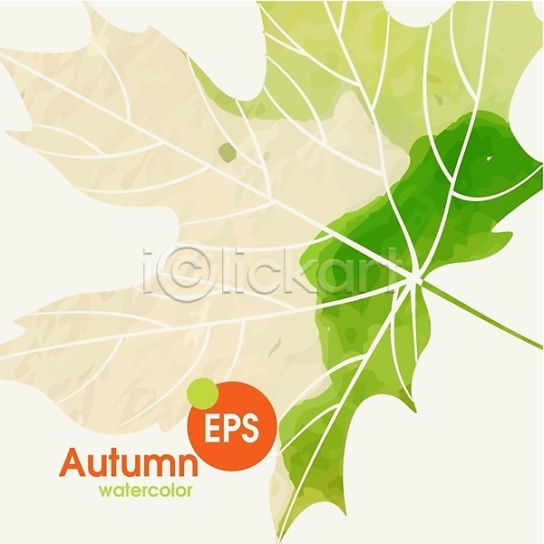 사람없음 EPS 일러스트 해외이미지 가을(계절) 노란색 단풍 백그라운드 수채화(물감) 식물 잎 자연 초록색 해외202004