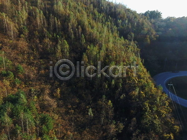 사람없음 JPG 포토 항공촬영 가을(계절) 가을풍경 강원도 나무 문치재 산 야외 전경 정선 주간