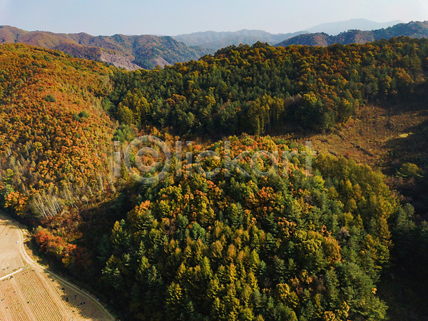 사람없음 JPG 포토 항공촬영 가을(계절) 가을풍경 강원도 단풍 산 야외 전경 정선 주간