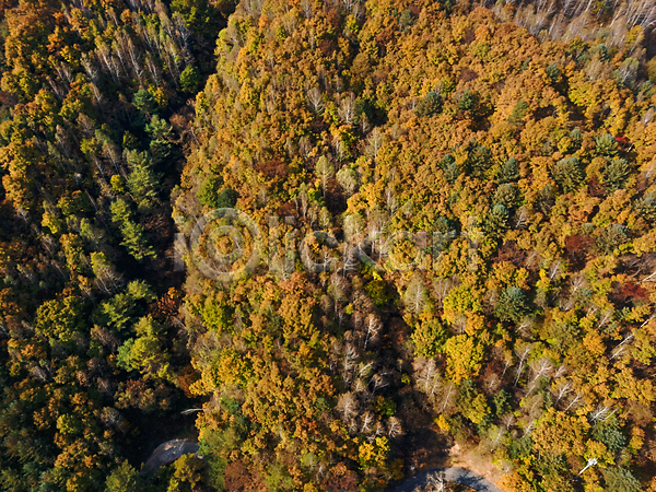 사람없음 JPG 포토 하이앵글 항공촬영 가을(계절) 가을풍경 강원도 단풍 산 야외 자연 전경 정선 주간