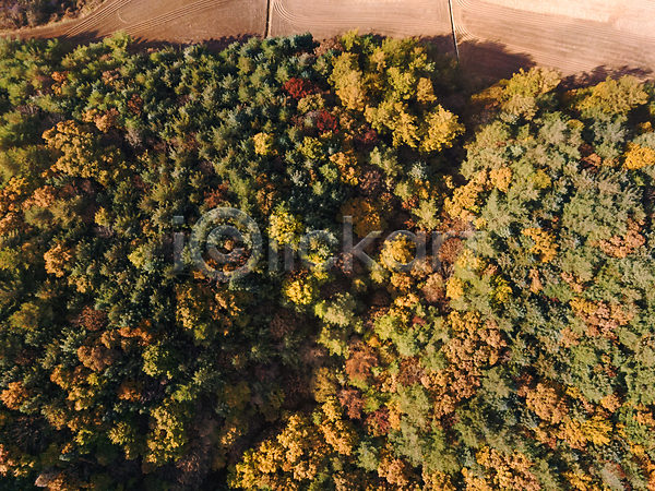 사람없음 JPG 포토 하이앵글 항공촬영 가을(계절) 가을풍경 강원도 단풍 산 야외 전경 정선 주간