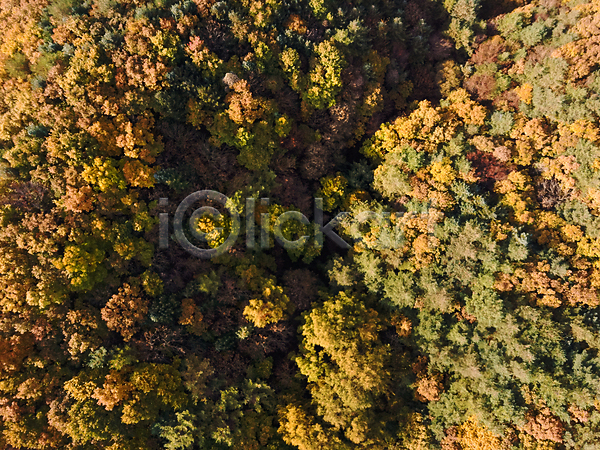 사람없음 JPG 포토 하이앵글 항공촬영 가을(계절) 가을풍경 강원도 단풍 야외 자연 전경 정선 주간