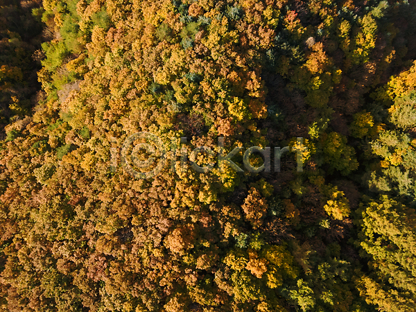 사람없음 JPG 포토 하이앵글 항공촬영 가을(계절) 가을풍경 강원도 단풍 야외 자연 전경 정선 주간