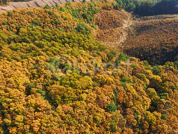사람없음 JPG 포토 하이앵글 항공촬영 가을(계절) 가을풍경 강원도 단풍 산 야외 자연 전경 정선 주간