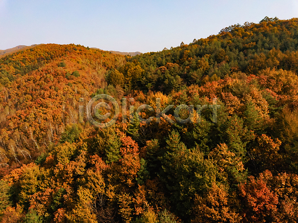 사람없음 JPG 포토 항공촬영 가을(계절) 가을풍경 강원도 단풍 산 야외 자연 전경 정선 주간 하늘