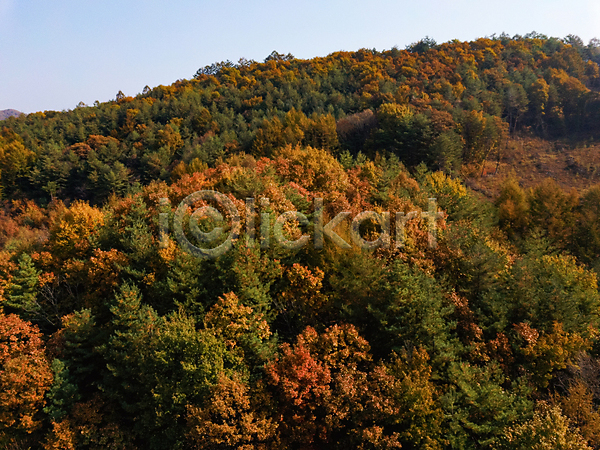사람없음 JPG 포토 항공촬영 가을(계절) 가을풍경 강원도 단풍 산 야외 자연 전경 정선 주간
