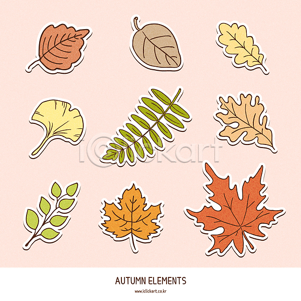 사람없음 AI(파일형식) 일러스트 가을(계절) 나뭇잎 낙엽 단풍 세트 스티커 엘리먼트 은행잎