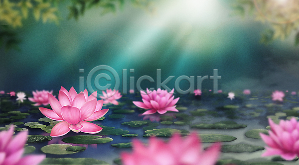 사람없음 PSD 일러스트 강 백그라운드 분홍색 불교 빛 연꽃(꽃) 연못 연잎 자연 초록색