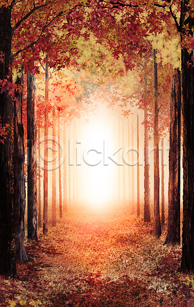 사람없음 PSD 일러스트 가을(계절) 가을풍경 계절 나무 단풍 단풍나무 백그라운드 숲 숲길 숲속 자연 주황색 풍경(경치)
