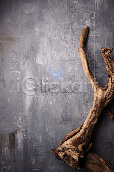 사람없음 JPG 포토 고목 나무토막 나뭇가지 오브젝트 카피스페이스 회색배경