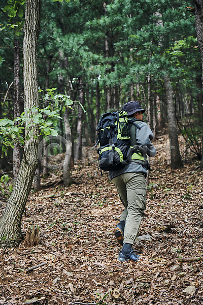 청춘(젊음) 30대 남자 성인 성인남자한명만 한국인 한명 JPG 뒷모습 포토 나무 나뭇잎 등산 등산가방 맑음 백패킹 숲속 야외 여행 자연 전신 주간 힐링