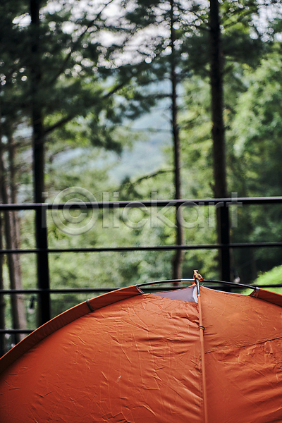 청춘(젊음) 휴식 사람없음 JPG 포토 나무 등산가방 맑음 백패킹 숲속 야외 여행 울타리 자연 주간 캠핑 텐트 힐링