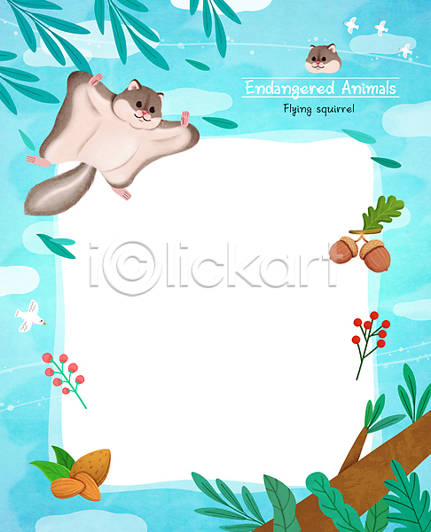 사람없음 PSD 일러스트 프레임일러스트 구름(자연) 나무열매 나뭇가지 나뭇잎 도토리 멸종동물 멸종위기 아몬드 조류 풀잎 프레임 하늘 하늘다람쥐 하늘색 한마리