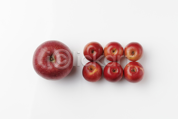 비교 사람없음 JPG 포토 하이앵글 건강식 디저트 미니사과 사과 스튜디오촬영 여러개 일렬 크기 흰배경
