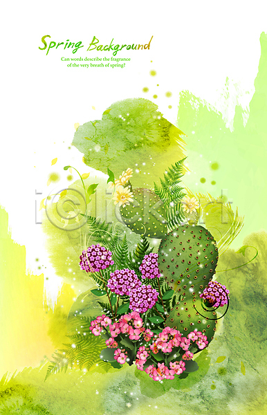 사람없음 PSD 일러스트 백그라운드 봄꽃 봄배경 봄풍경 봄향기 선인장 선인장꽃 수채화(물감) 잎 초록색