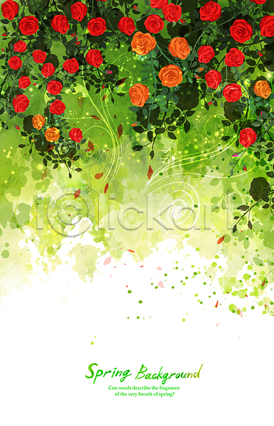 사람없음 PSD 일러스트 개화 꽃잎 백그라운드 봄배경 봄풍경 봄향기 빨간색 수채화(물감) 잎 장미 초록색