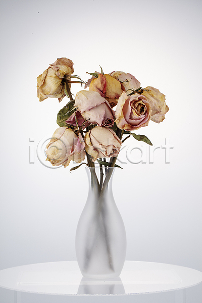 사람없음 JPG 포토 꽃병 드라이플라워 오브젝트 장미 흰배경