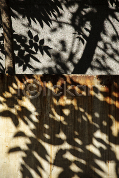 사람없음 JPG 포토 그림자 나무 나뭇잎 야외 주간 햇빛