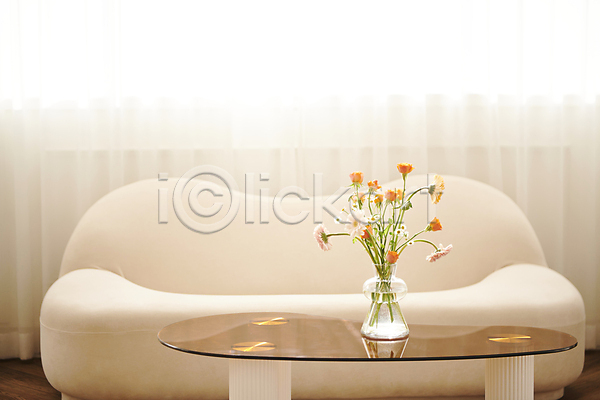 감성 편안함 사람없음 JPG 포토 거베라 꽃병 백그라운드 실내 오브젝트 장미 햇빛