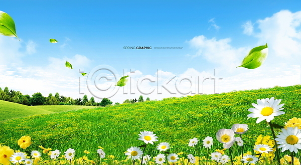사람없음 PSD 편집이미지 나뭇잎 데이지 백그라운드 봄 봄꽃 초원(자연) 풍경(경치) 하늘