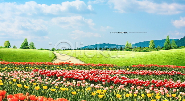 사람없음 PSD 편집이미지 꽃밭 백그라운드 봄 봄꽃 튤립 풍경(경치) 하늘