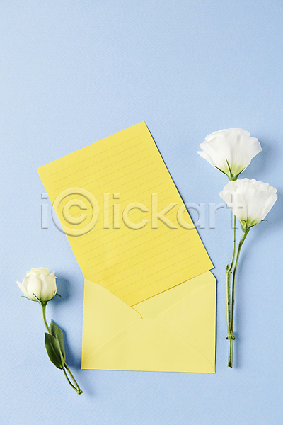 사람없음 JPG 포토 하이앵글 노란색 백그라운드 스튜디오촬영 유행 장미 트렌드컬러 파란색 편지봉투 편지지