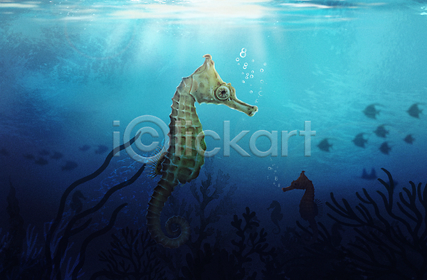 사람없음 PSD 일러스트 바다 바닷속 수중 수중동물 파란색 한마리 해마