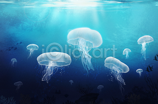 사람없음 PSD 일러스트 바다 바닷속 수중 여러마리 자포동물 파란색 해파리