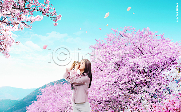 20대 성인 성인여자한명만 여자 한국인 한명 PSD 편집이미지 들기 벚꽃 분홍색 상반신 촬영 카메라 풍경(경치)
