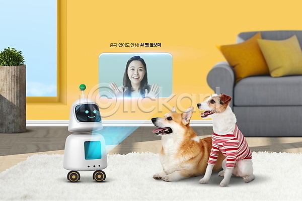 20대 성인 성인여자한명만 여자 한국인 한명 PSD 편집이미지 4차산업 AI(인공지능) 강아지 과학기술 로봇 상반신 소파 손들기 실내 창문 홀로그램 화상통화