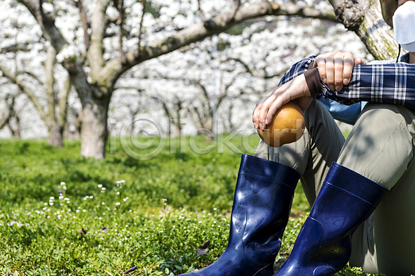 20대 남자 성인 성인남자한명만 한국인 한명 JPG 아웃포커스 옆모습 포토 과수원 농부 들기 밭 배(과일) 배꽃 배나무 앉기 야외 장화 전신 초록색