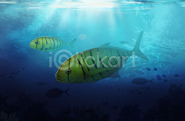 사람없음 PSD 일러스트 골든트레발리 두마리 바다 바닷속 수중 수중동물 아쿠아리움 파란색