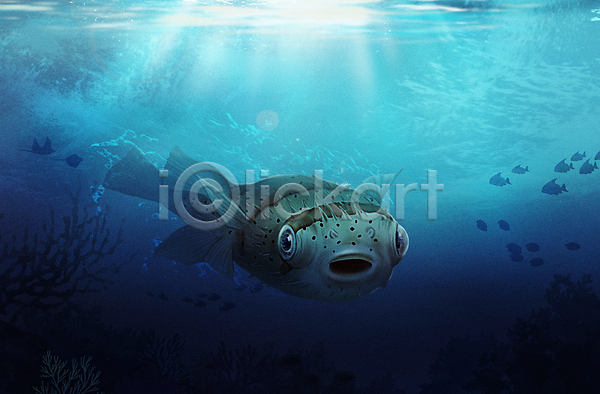 사람없음 PSD 일러스트 가시복어 바다 바닷속 수중 수중동물 아쿠아리움 파란색 한마리